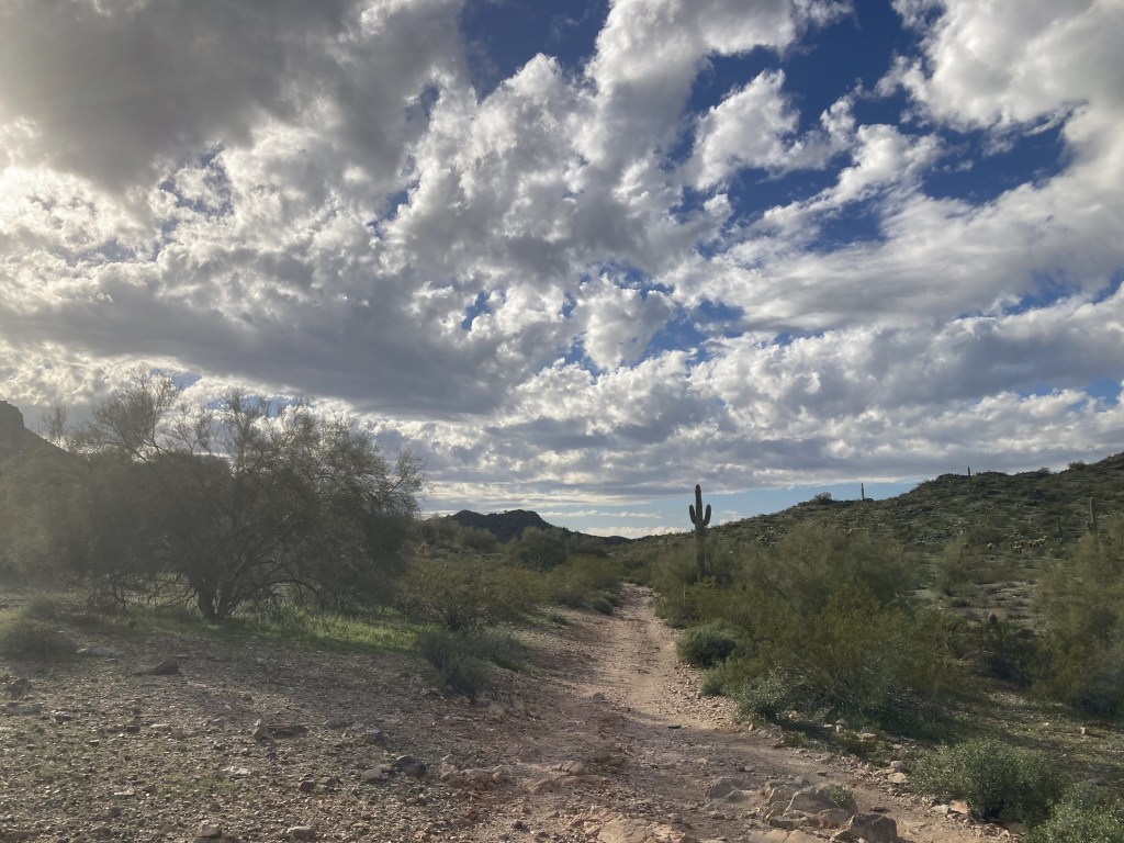 Image of the desert.